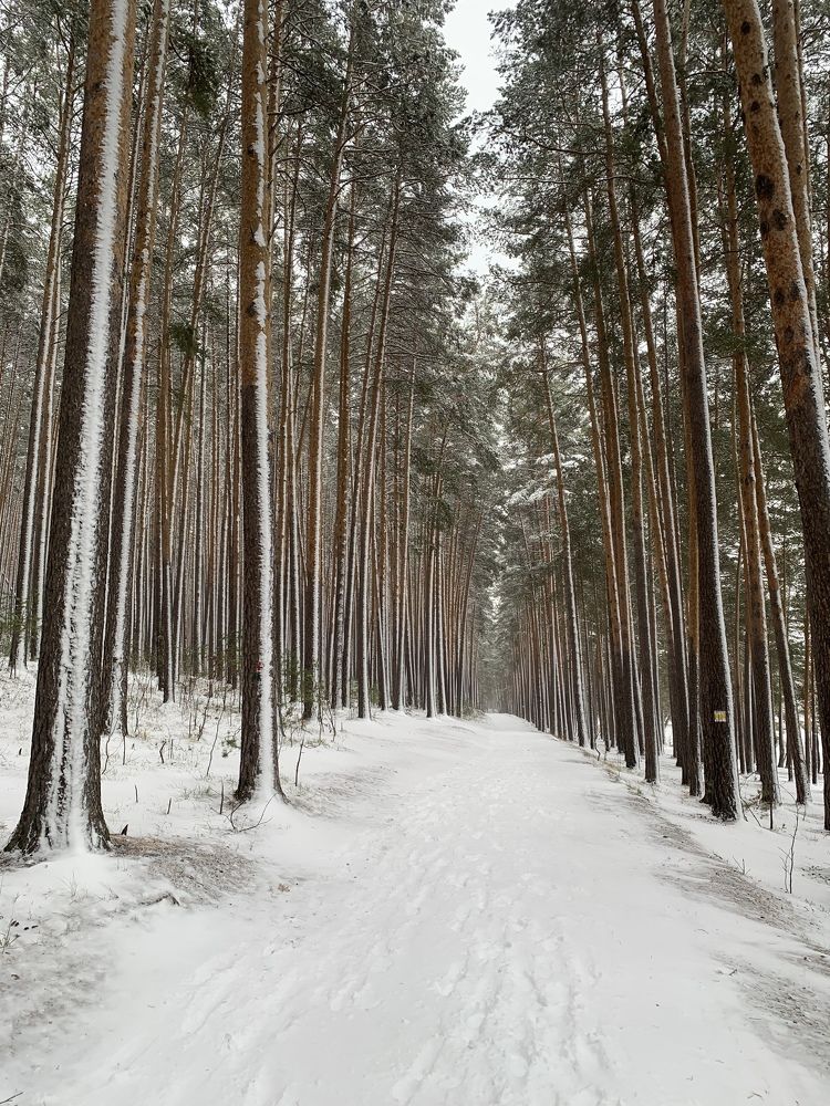 Photograph by Оксана