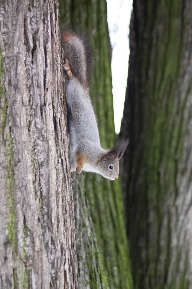 Photograph by Сергей