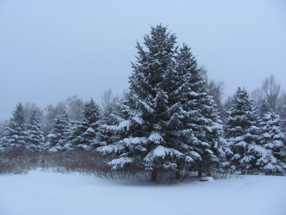 Photograph by Антон Чаузов