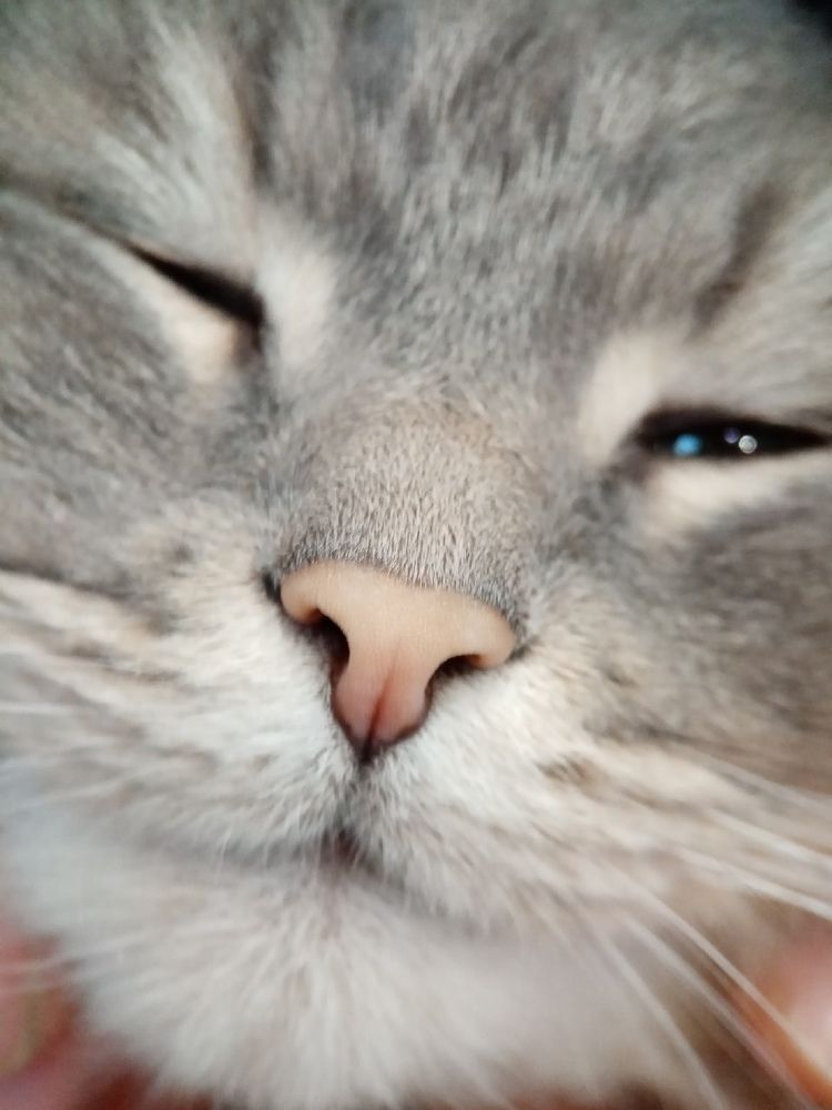 Photograph by Хамитова Светлана