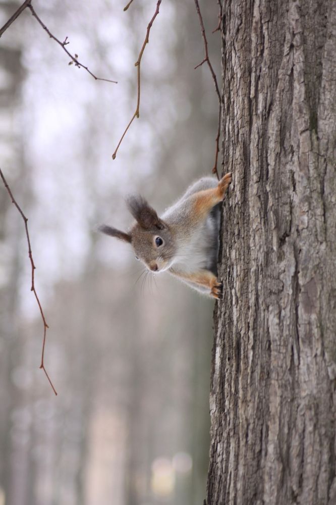 Photograph by Сергей