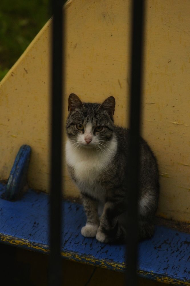 Photograph by Иван Винцковский