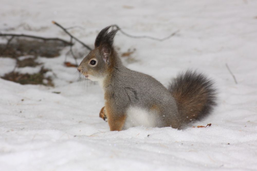 Photograph by Сергей Александрович