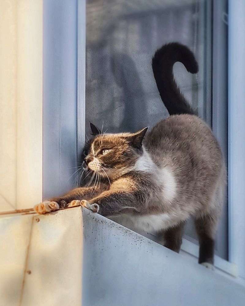 Photograph by Татьяна Соколовская