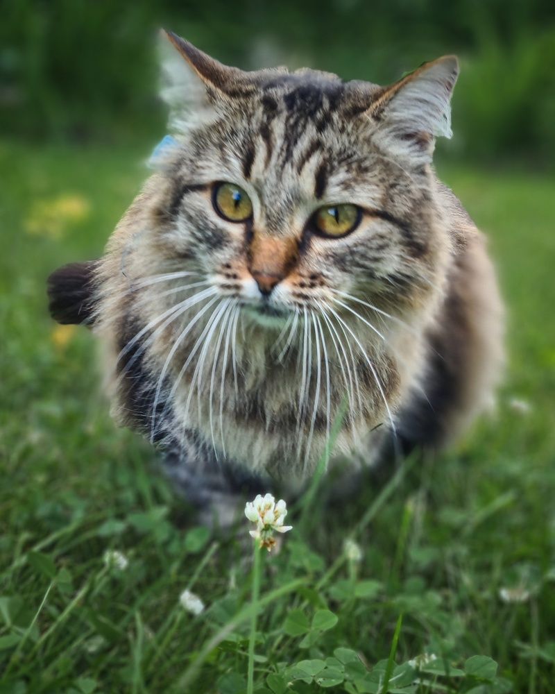 Photograph by Татьяна Соколовская