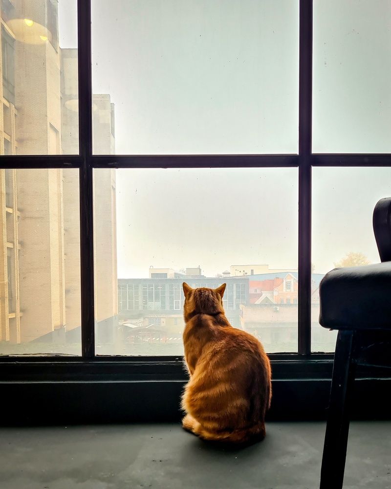 Photograph by Татьяна Соколовская