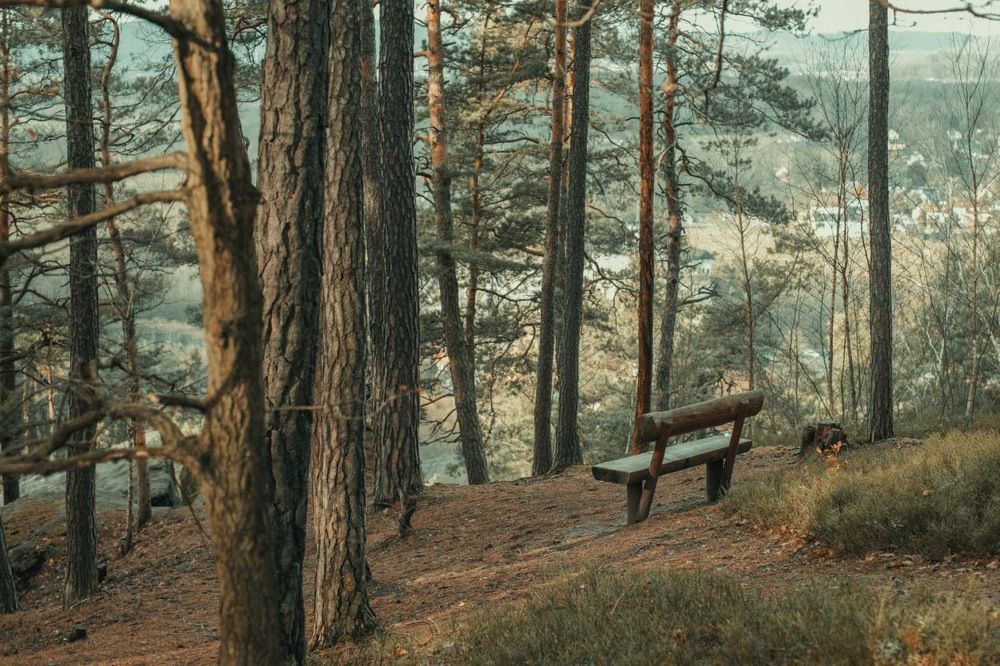 Photograph by Tatiana Chernaletskaya