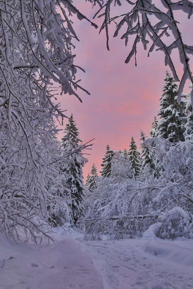 Photograph by Владимир Борозенец