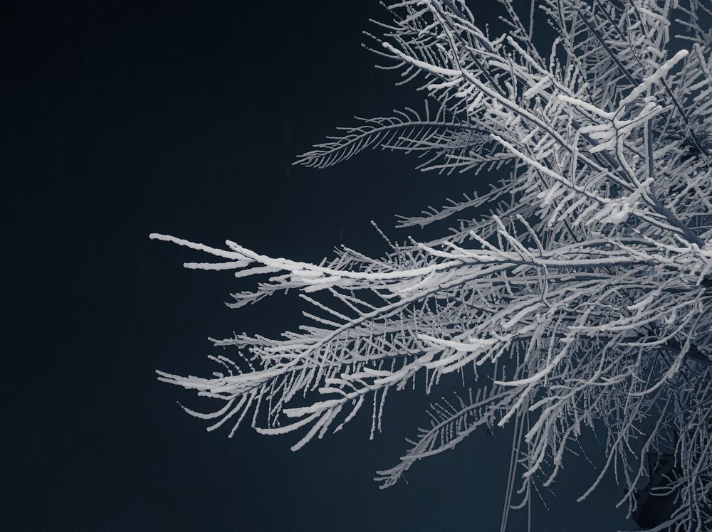 Photograph by Константин Панькин