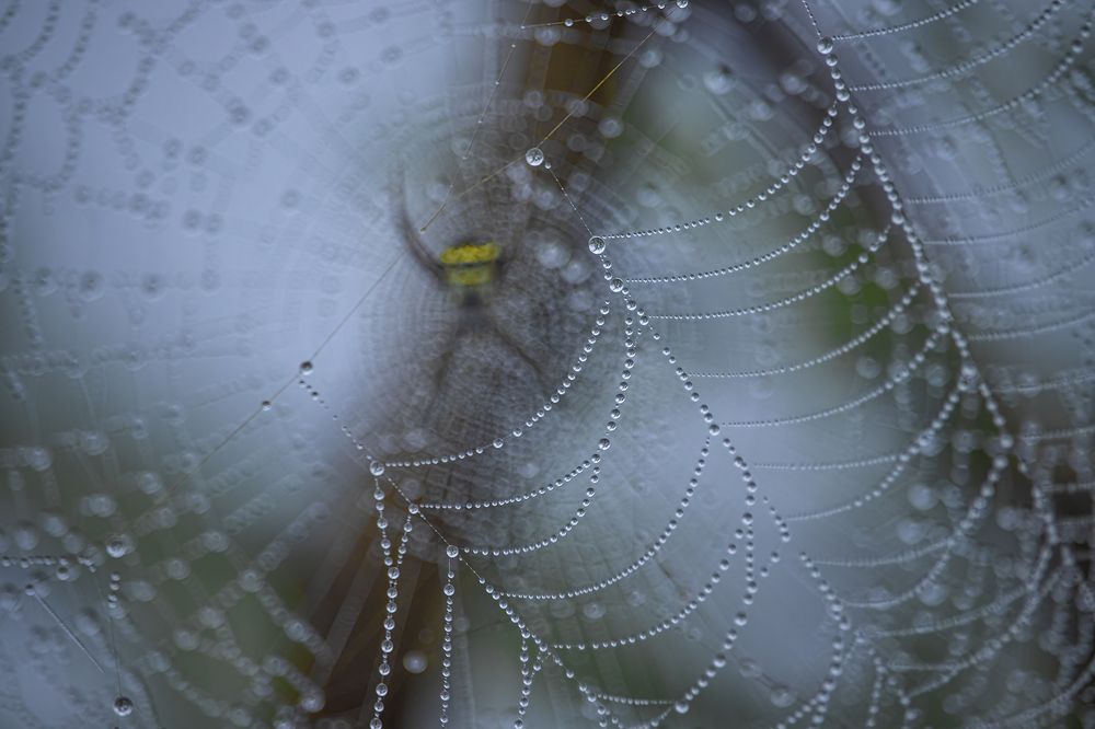 Photograph by Deepak KGK