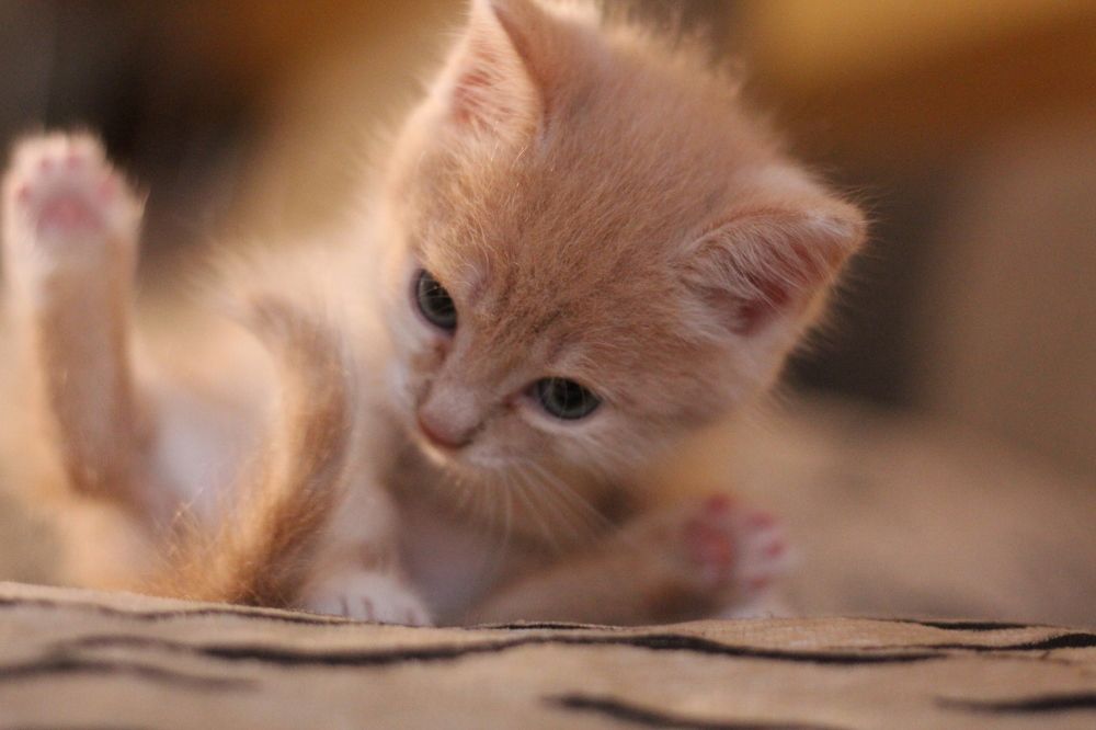 Photograph by Мария Степанова