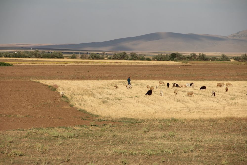 Photograph by Bulent Karaduman