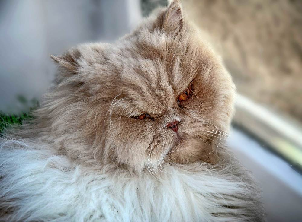 Photograph by Игорь