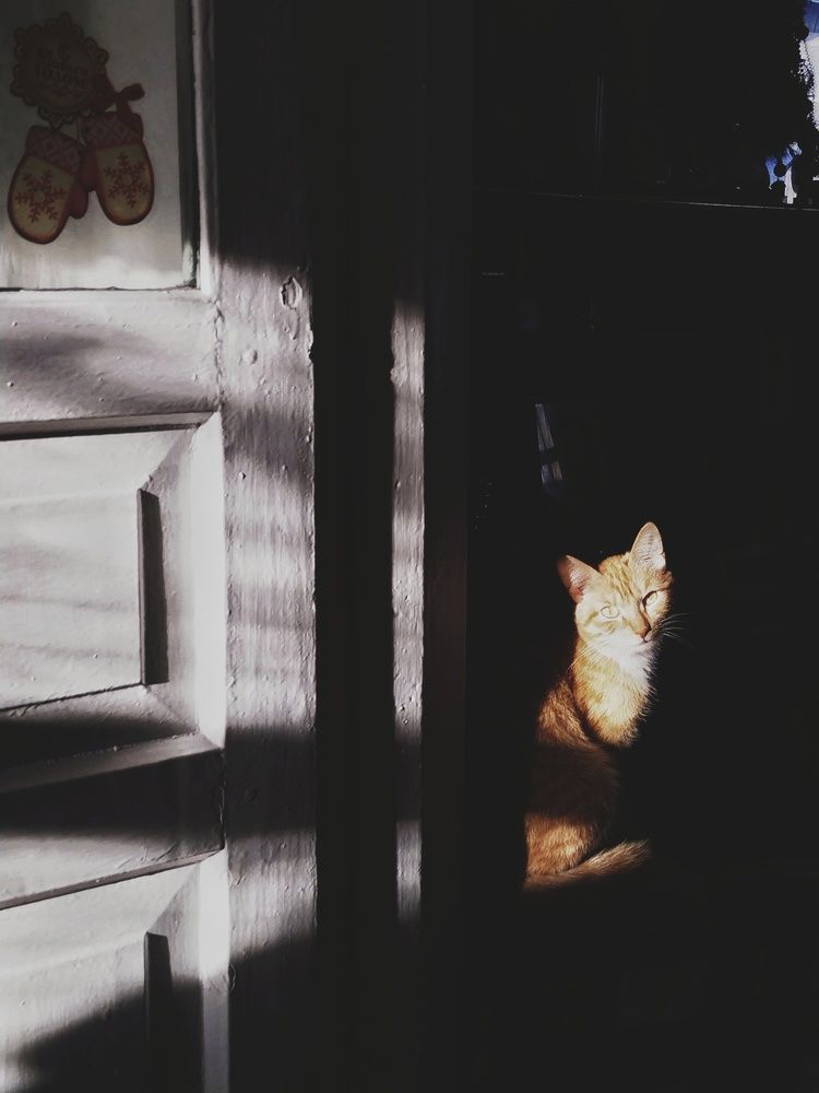 Photograph by Дмитрий Зуев