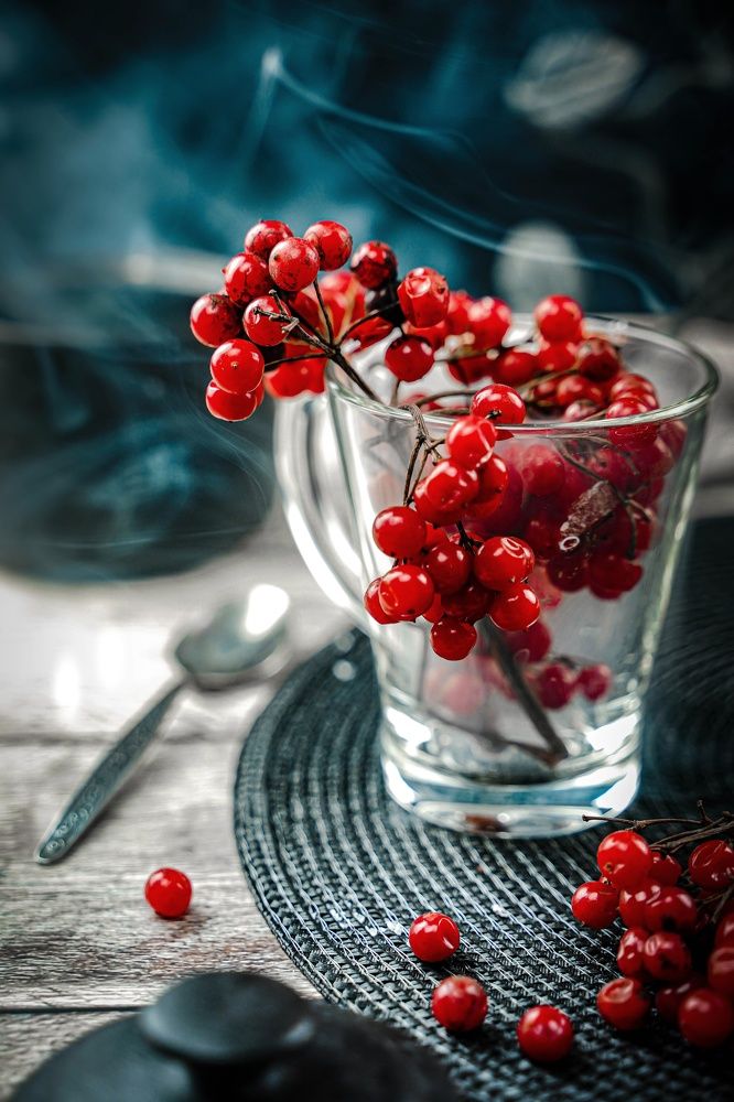 Калина красная