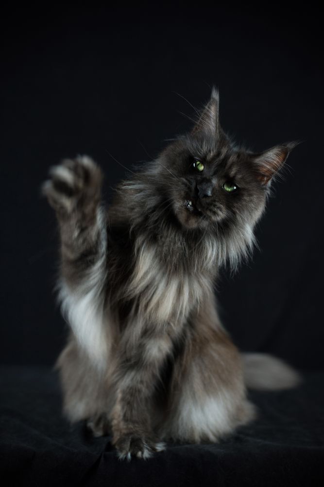 Photograph by Дарья Лисицына