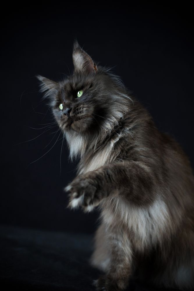 Photograph by Дарья Лисицына