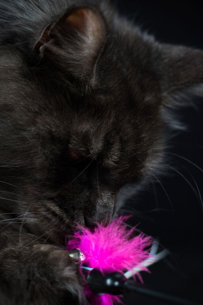 Photograph by Дарья Лисицына