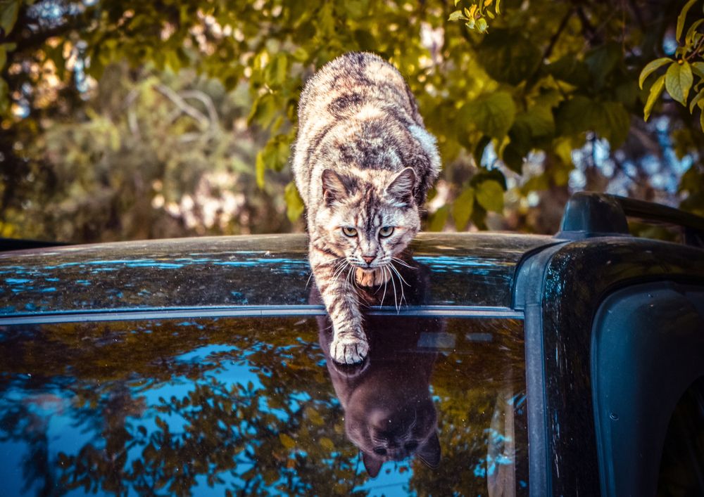 Photograph by Юлия Ковальчук