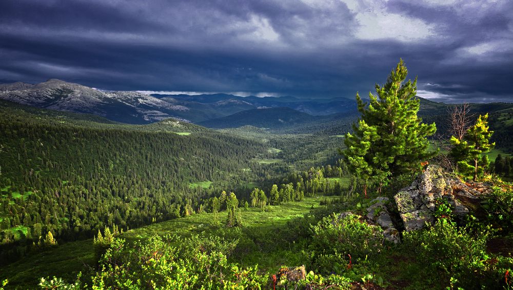 Фотография автора Павел Мартюшев