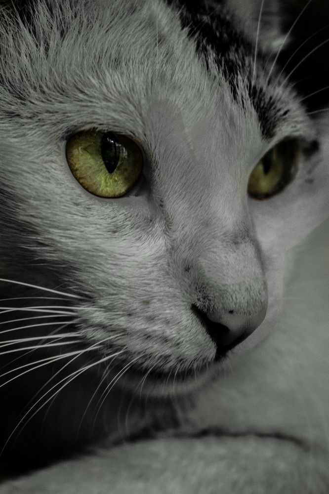 Photograph by Minhaj Mahmood