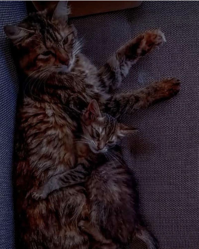 Фотография автора Nazgul Mamylkanova