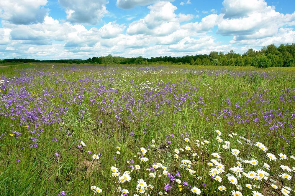 Photograph by Олег Васильев