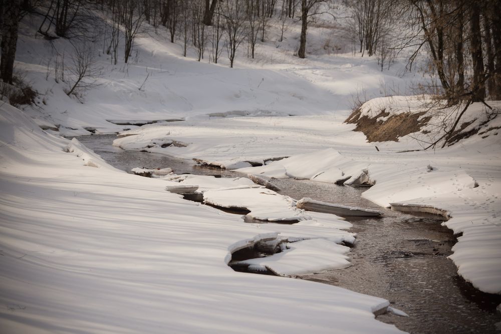 Photograph by Дарья Лисицына