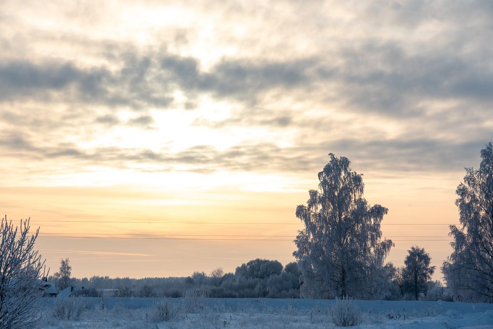 Photograph by Дарья Лисицына