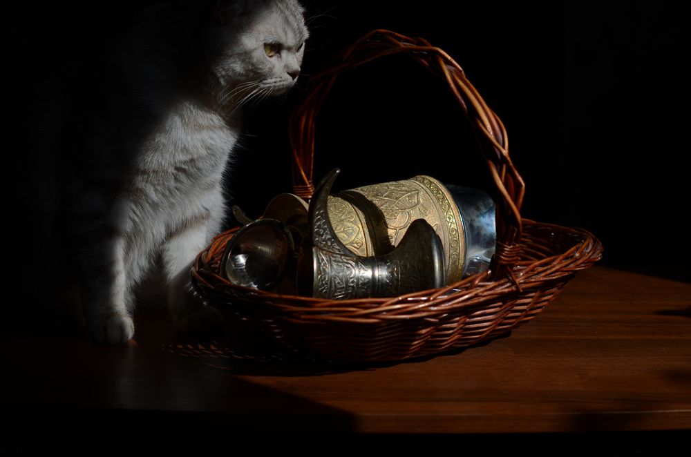 Photograph by Анна Новосельцева