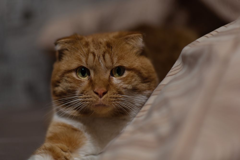 Photograph by Анна Новосельцева