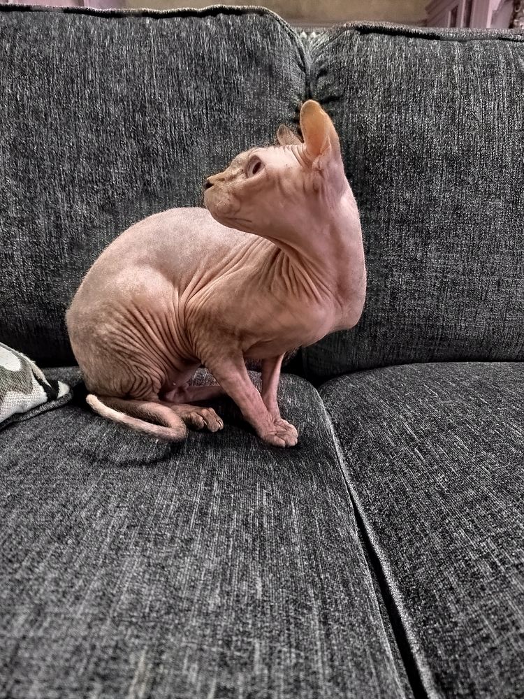 Фотография автора Юлия Лубкина