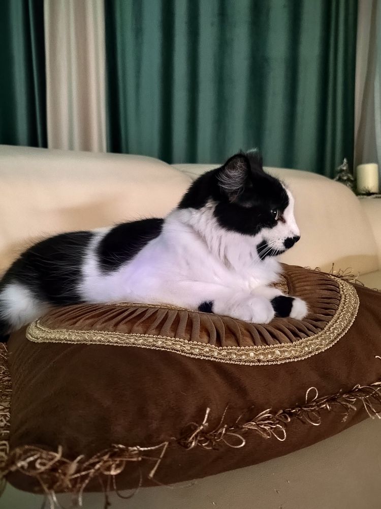 Фотография автора Юлия Лубкина