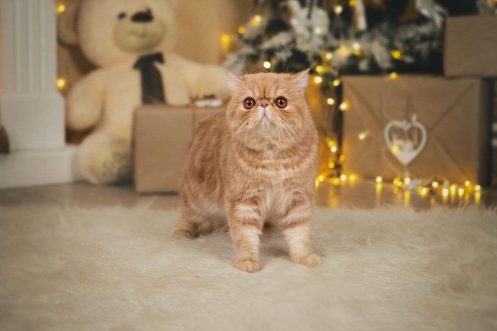 Photograph by Людмила Якурнова