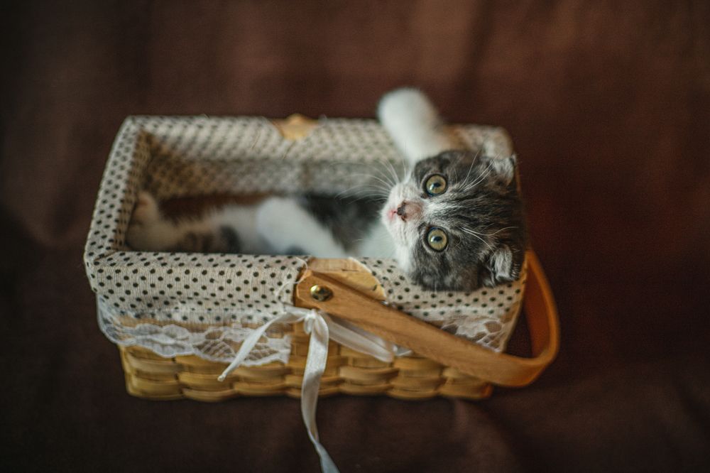 Photograph by Людмила Якурнова