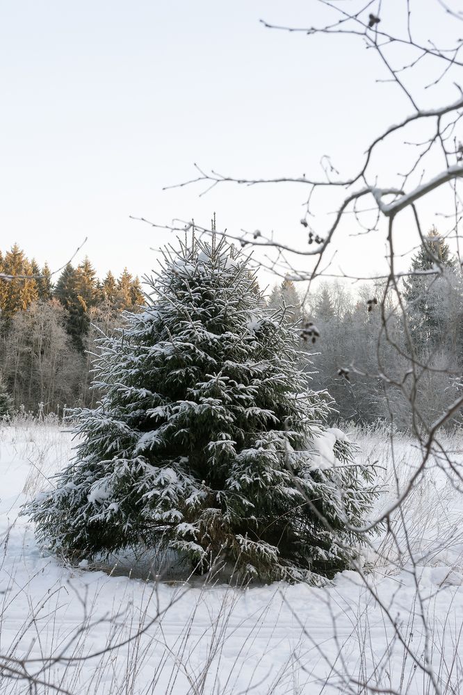 Photograph by Сергей Брызгалов