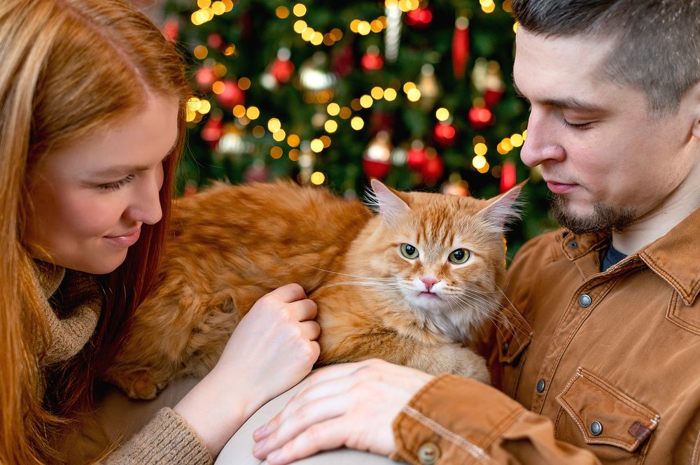 Photograph by Оксана Зверева