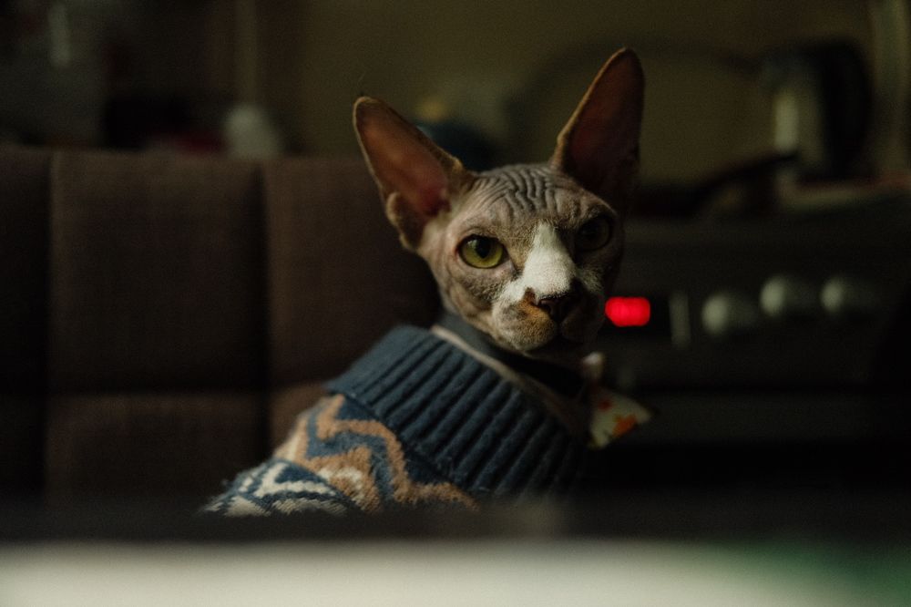 Photograph by Елизавета Киселева