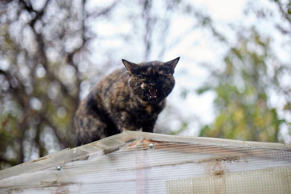 Photograph by Igor Kochkin