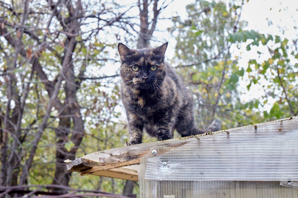 Photograph by Igor Kochkin