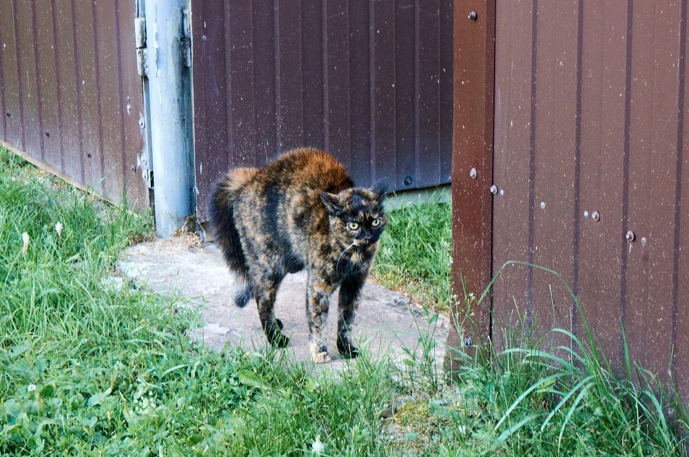 Photograph by Igor Kochkin