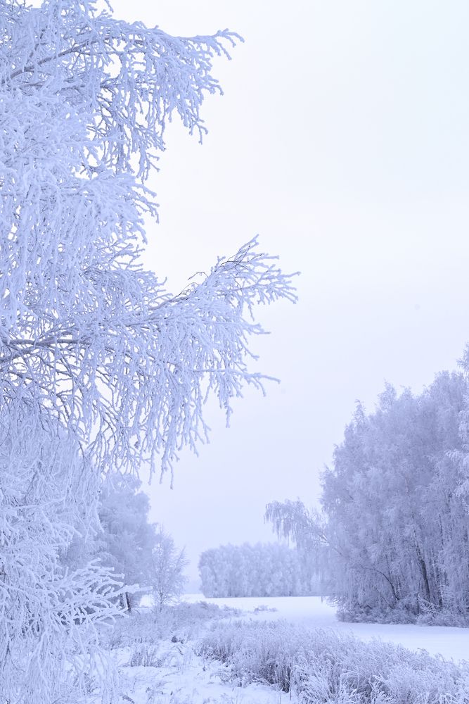 Photograph by Светлана Вербицкая