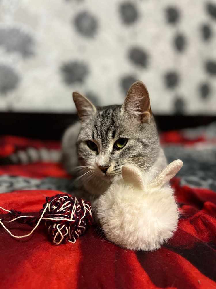 Photograph by Максим Богданов