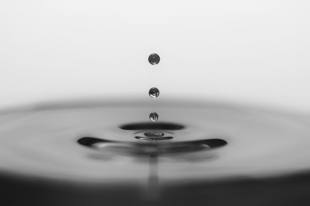 Photograph by Leanid Kulpo