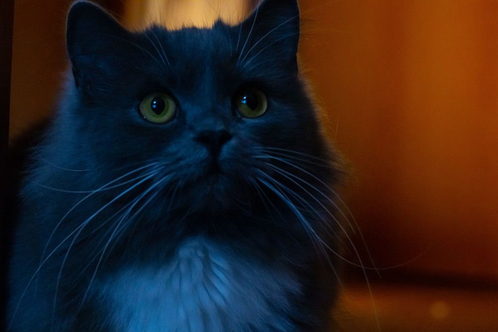 Вечерние наблюдения...