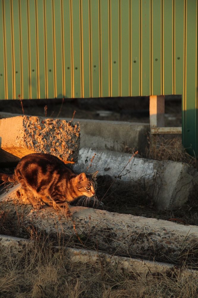 Photograph by Анжелика Авторханова