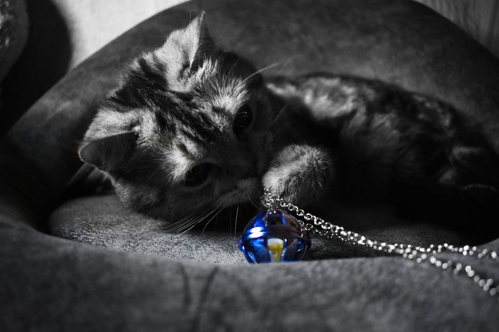 Photograph by Александра Зиновьева