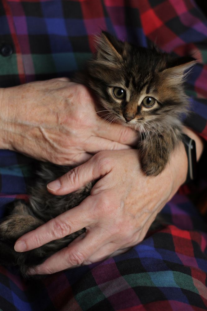 Photograph by Полина Ефимова