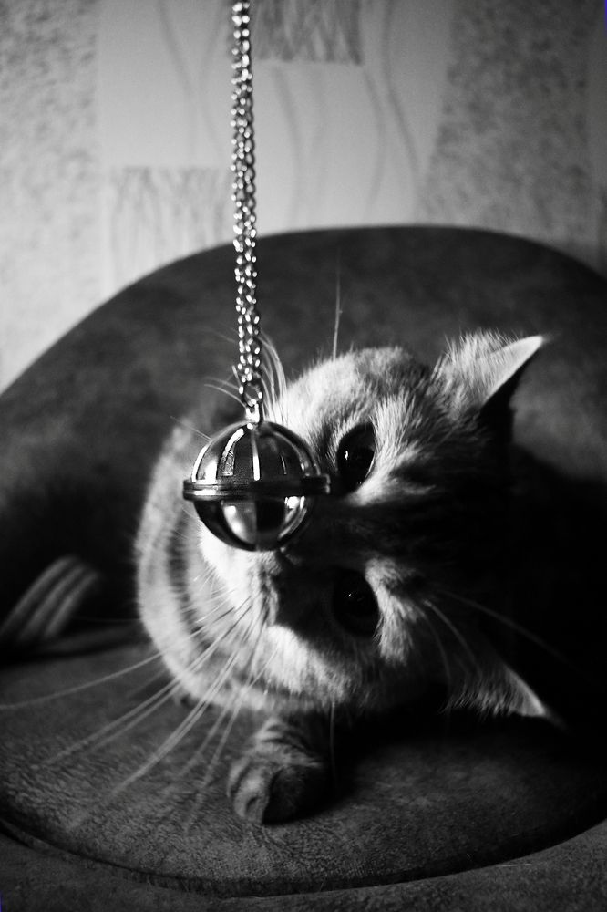 Photograph by Александра Зиновьева