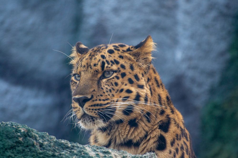 Photograph by Глушков Ярослав